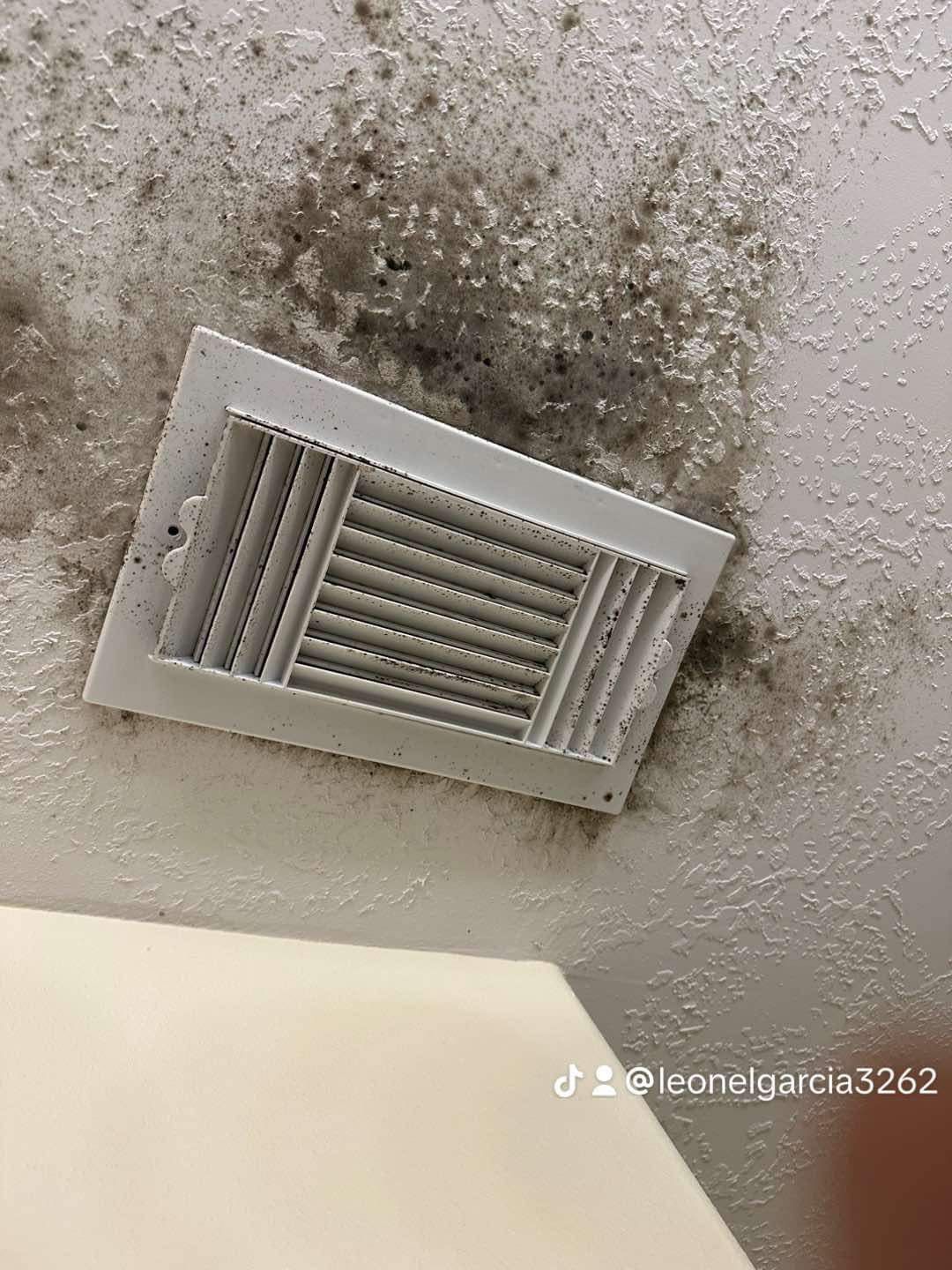Air Ducts Cleaning 