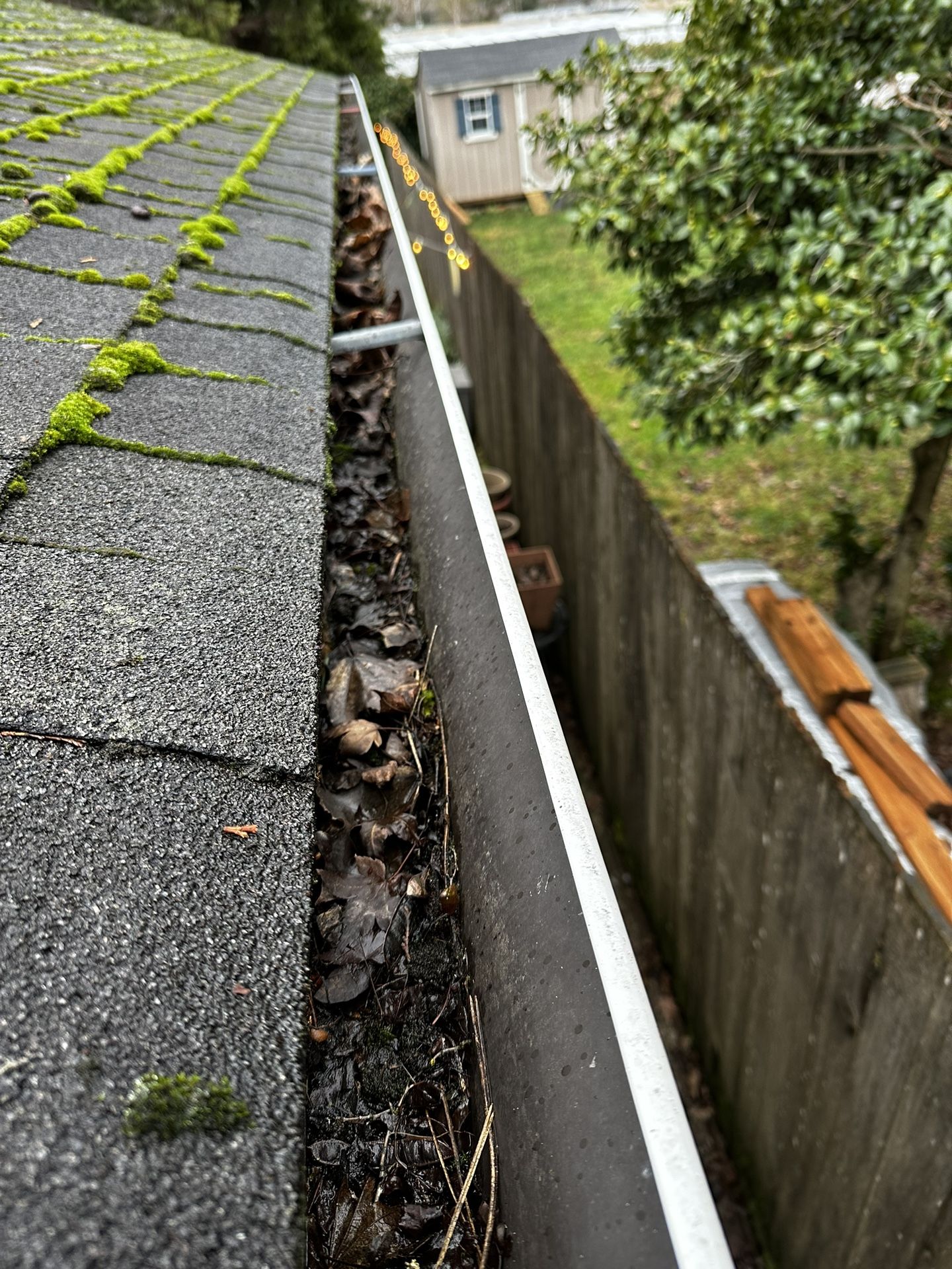 Gutter Cleaning/Roof Clean