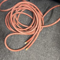Water Hose About 50ft 