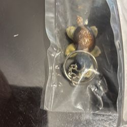 Sea She’ll Turtle Collectable 