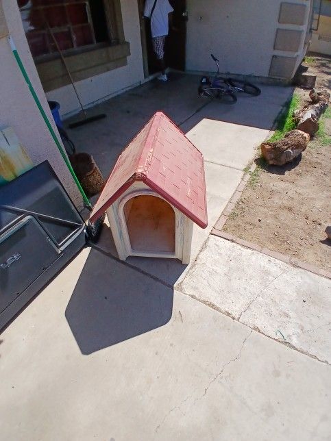 Dog HOUSE