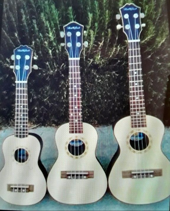 Brand New Hawaiian Ukulele Set