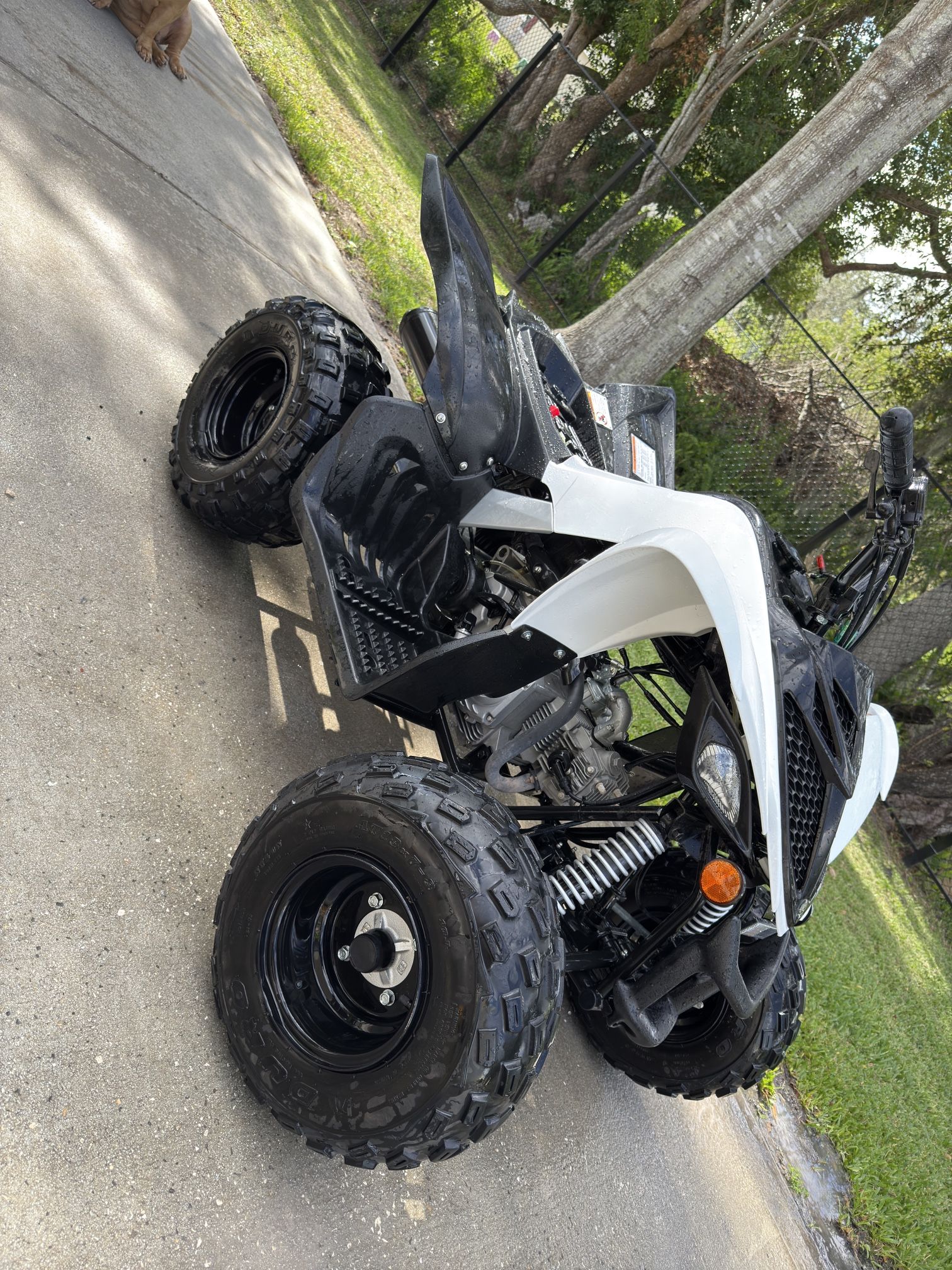 Raptor 90 Yamaha 2021