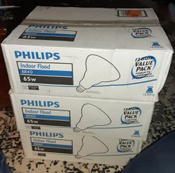 Philip's 65watt Incandescent flood lights