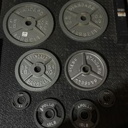 Weights (8 Total) 