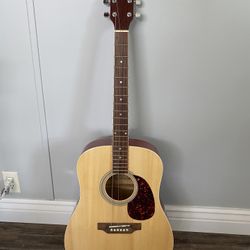 Nice Carlos Rebellion Acoustic Guitar