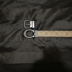 coach belt