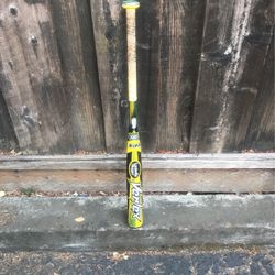 Baseball Bat