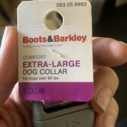 XL Reflective Collar 