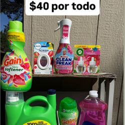 Gain Detergent Bundle