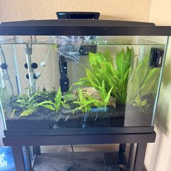20 Gallon Fish Tank