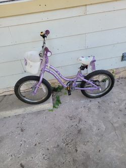 Bike Trek