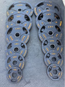 245 Ibs Powertec Weight Plates
