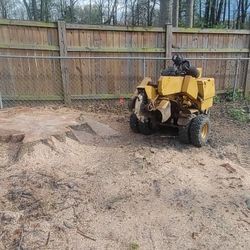 Stump Grinding 