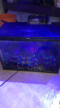 Fish tank 5 gallons for glow fish