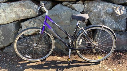 Cyprus Giant  bicycle