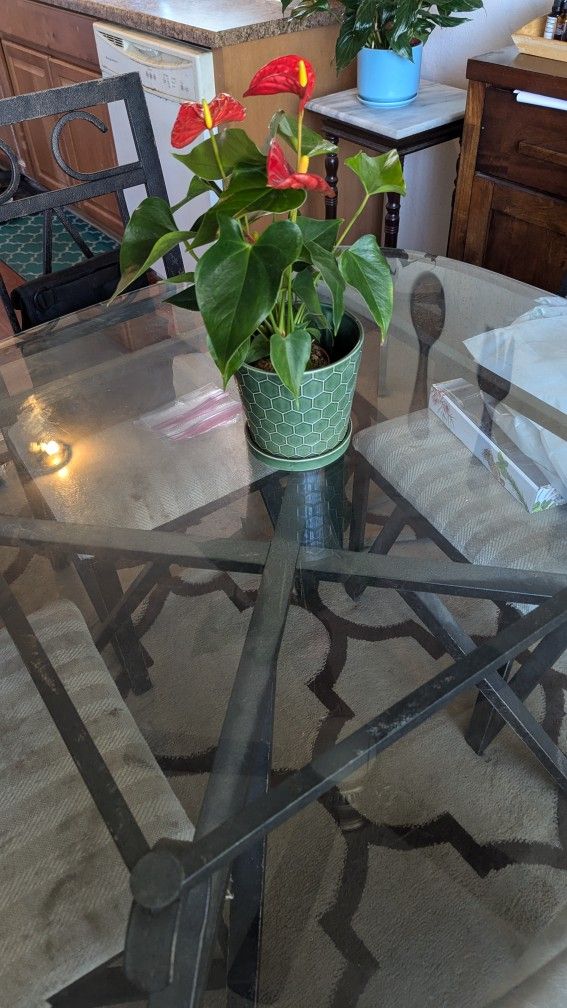 Glass Dining Table