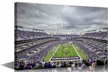 *BRAND NEW Baltimore Ravens field skyline 24x36