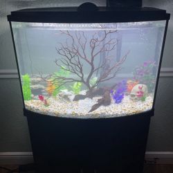 40 Gallon Fish Tank 