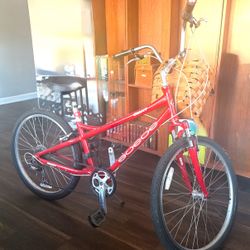 Beautiful Giant Suede Bicycle