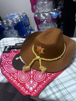 Pet Cowboy Costume