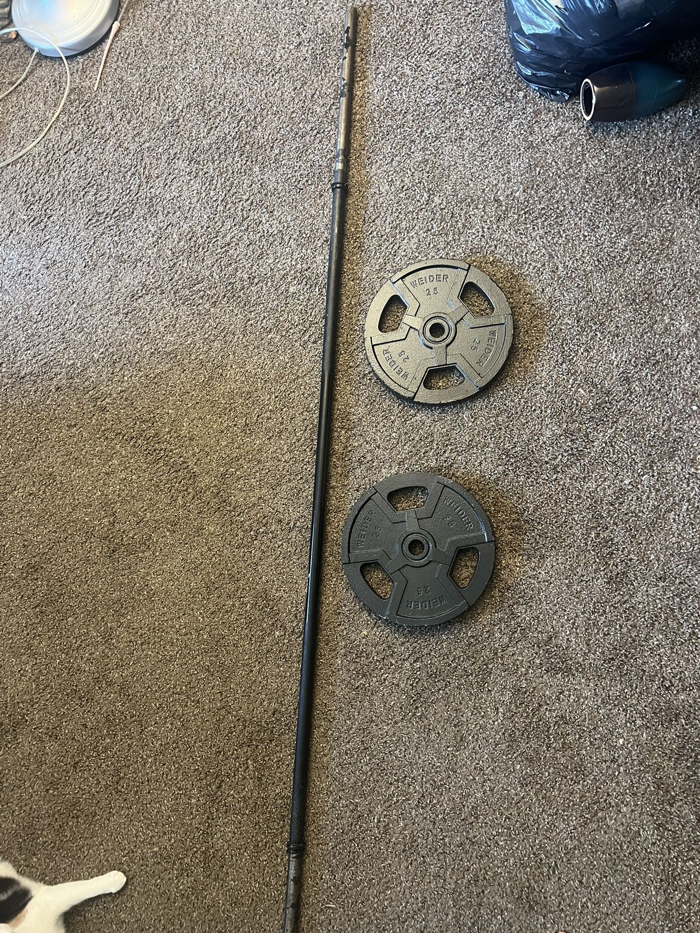 Pair Of 25 lb Plates And 7ft Barbell