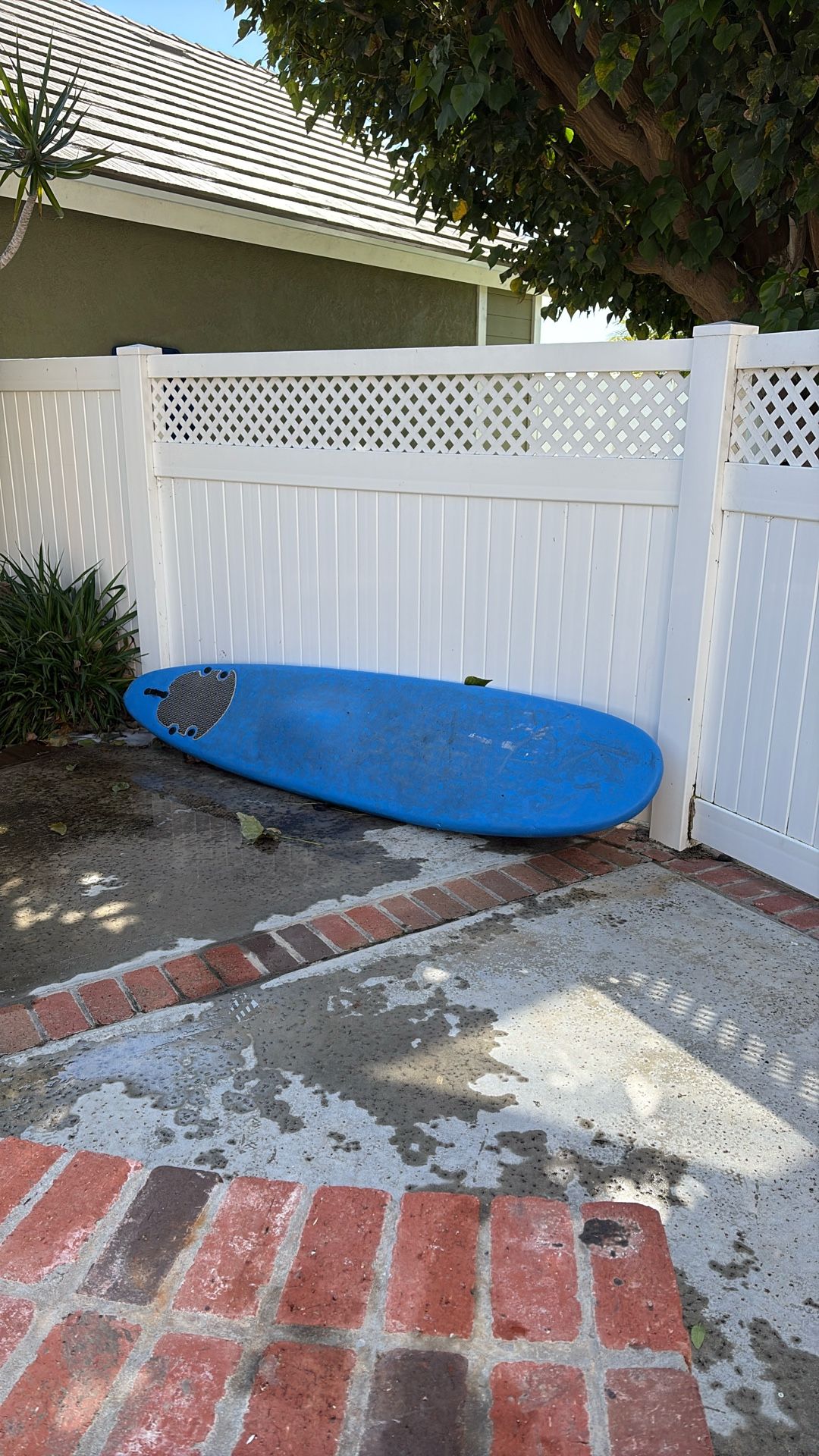 Free Longboard For Sale Soft top