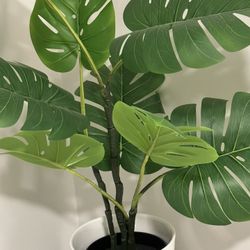 IKEA MONSTERA DELICIOSA (Potted fake plant) for Sale in Los Angeles, CA -  OfferUp