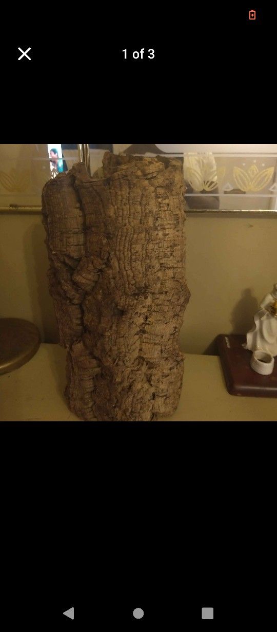 Xl Cork bark For Reptiles And Amphibians