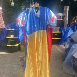 Snow White Costume Dress Only