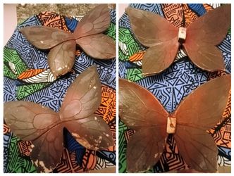 Butterfly garden set of 2
