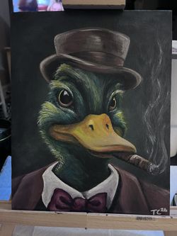 Midnight Mallard