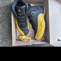 Air Jordan Retro 12