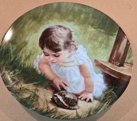 1986 Donald Zolan's "Backyard Discovery" Collector Plate #14992 C