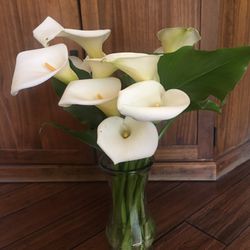 Fresh Cut Calla Lily Flowers In Glass Vase 