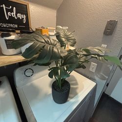 Artificial Plants