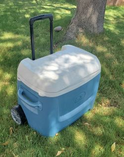 Igloo rolling ice chest