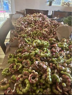 Guamúchiles