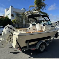 1988 Arima Sea Ranger 17
