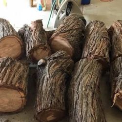 Mesquite Logs Lots Of Them Make An Offer