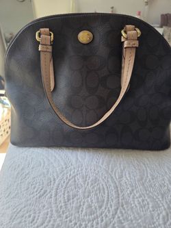 Coach Signature Dome Satchel