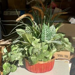 Decorative Potted Plant