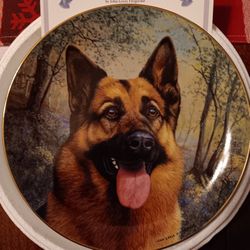 Collector Plates