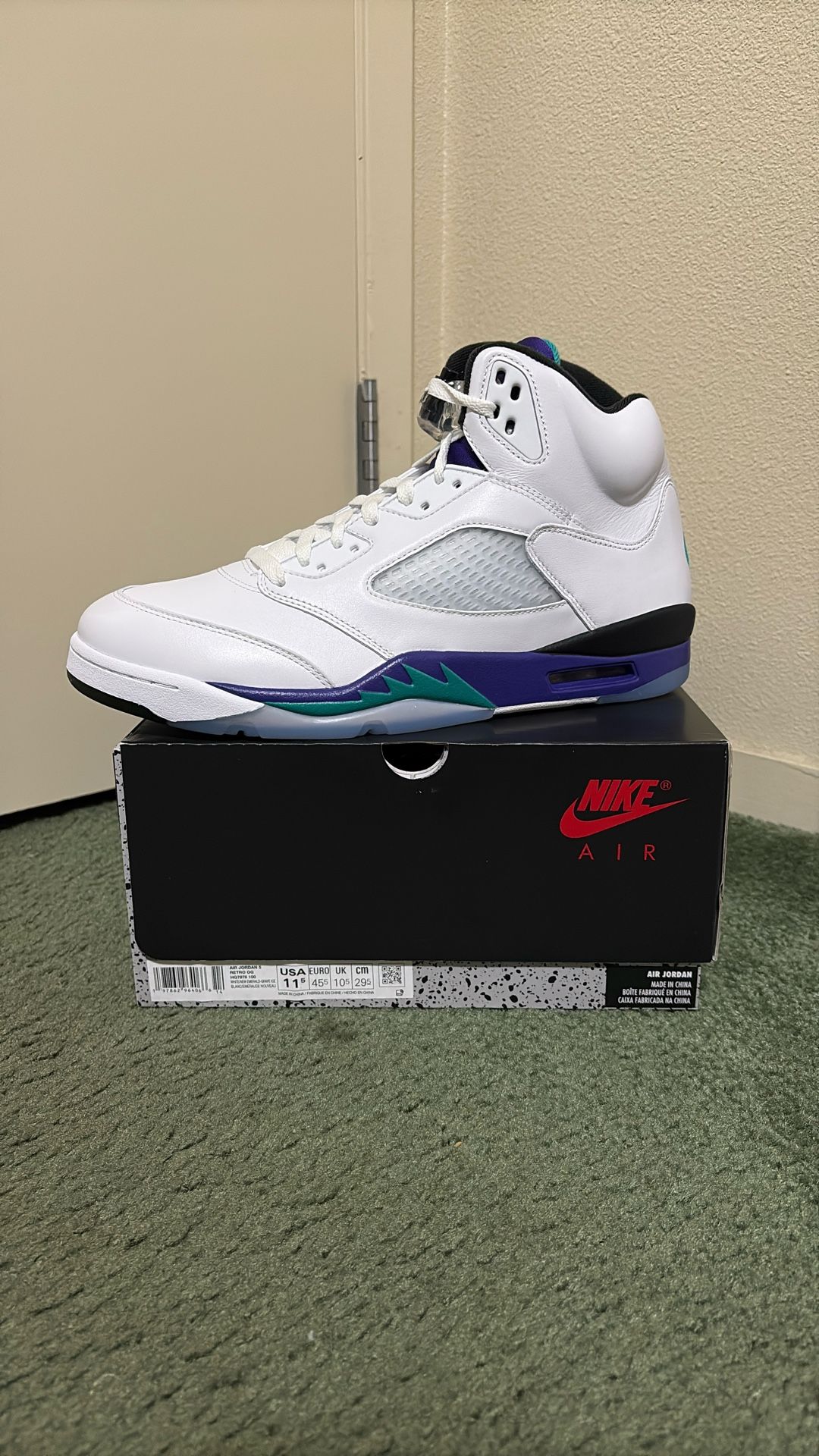 Air Jordan 5 Retro OG Grape 2025 Size 11.5