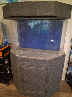 Big fish tank
