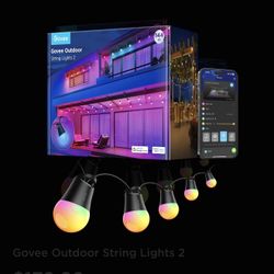 Smart Govee String Lights 2 144ft