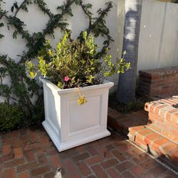 Five Self Watering Planters