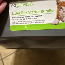 Cat Litter Box 