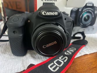 Canon EOS 60D and lenses 17-85 and 40mm