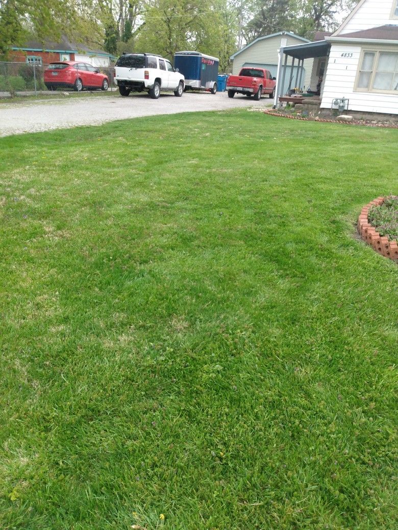 Cut Grass
